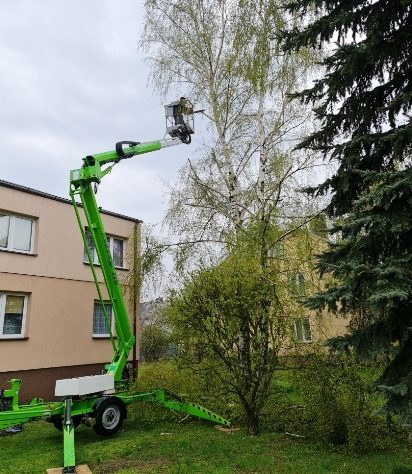 wzór zezwoenia na wycinke drzew i krzewów