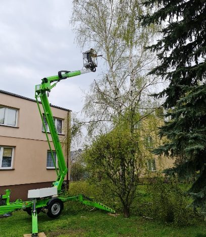 Zmiana przepisów od 01 stycznia 2023 wycinka, ścinanie i usuwanie drzew i krzewów.